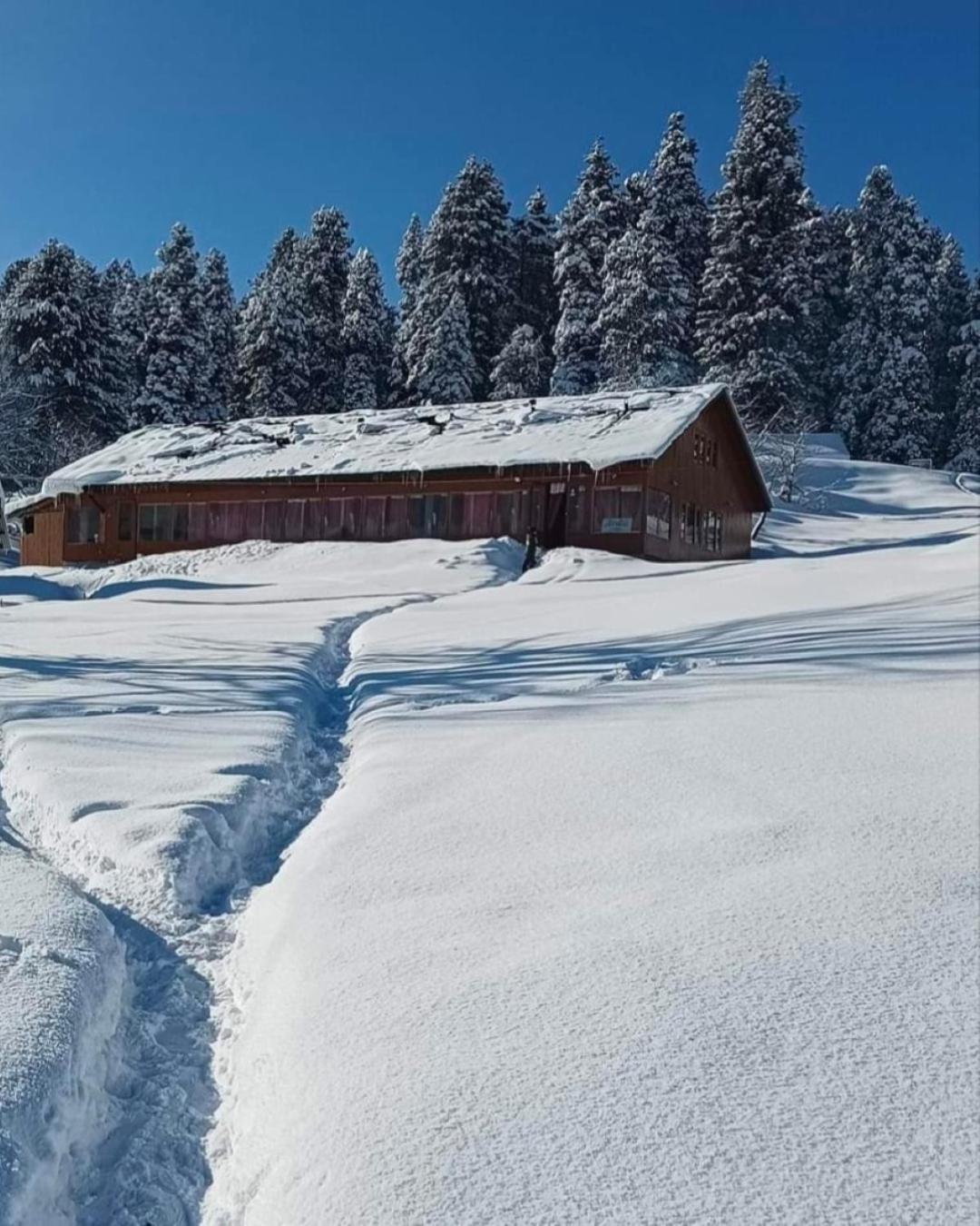 Roseland Cottage , Gulmarg Esterno foto